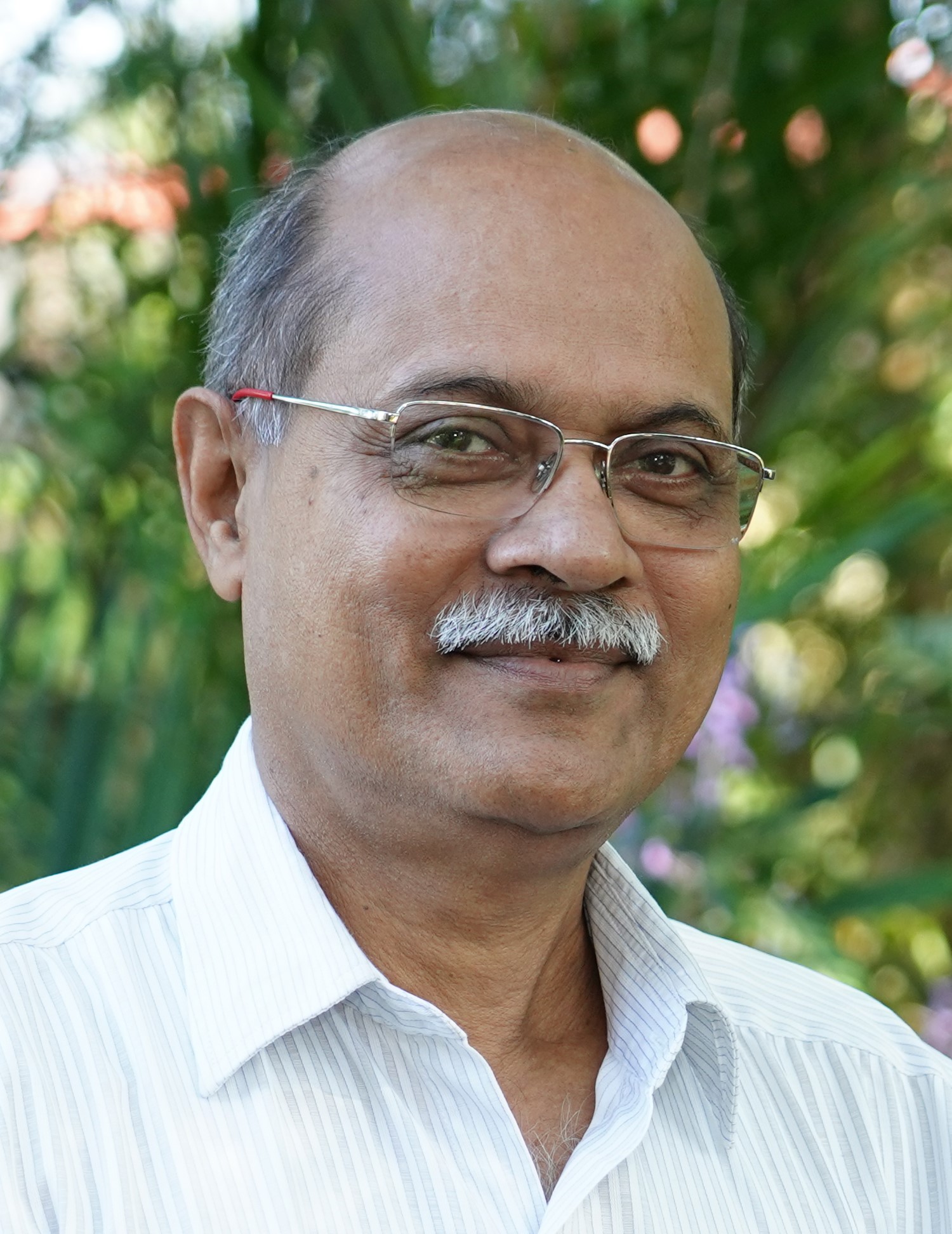 Prof. Sunny Jose Pallickamyalil
